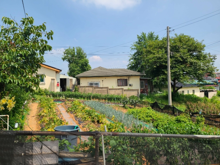 일련번호(3),(4) 전경