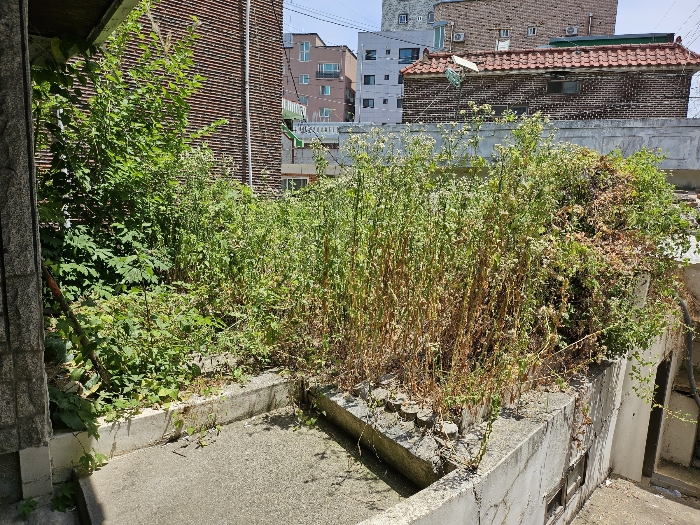 본건