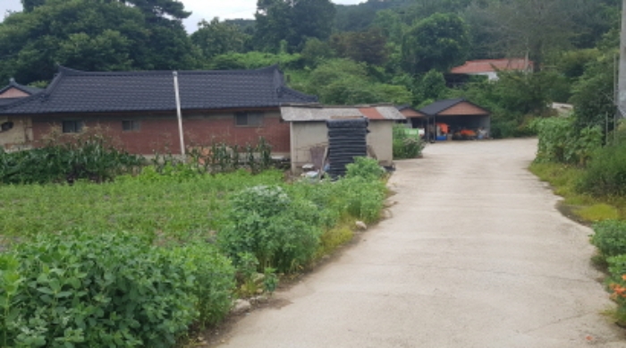 * 목록1. 및 지상 제시외 건물 전경(진입로 입구)