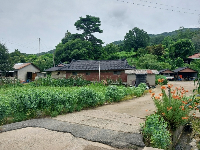 기호1 전경