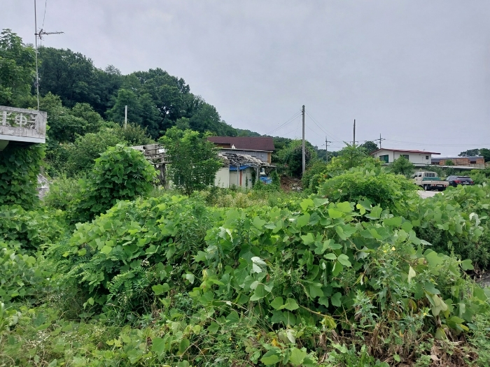 기호2, 3, 4 전경(북서측촬영)