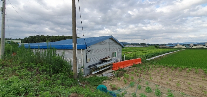 본건(2) 전경