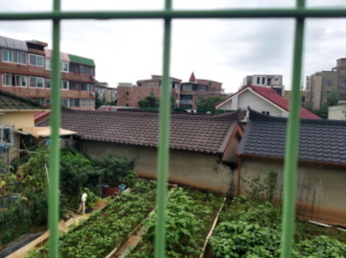 * 본건 목적물 지상 소재 제시외건물 전경
