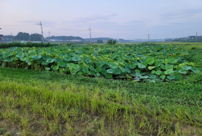 기호2