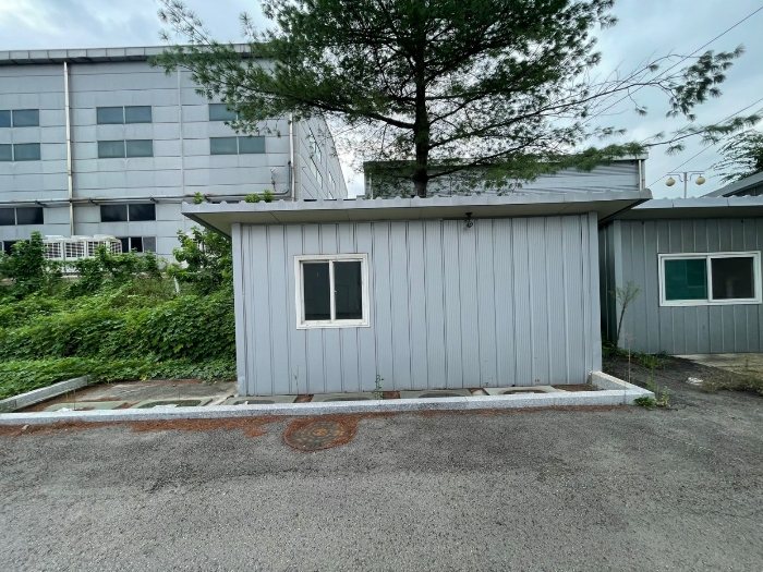 기호(5)