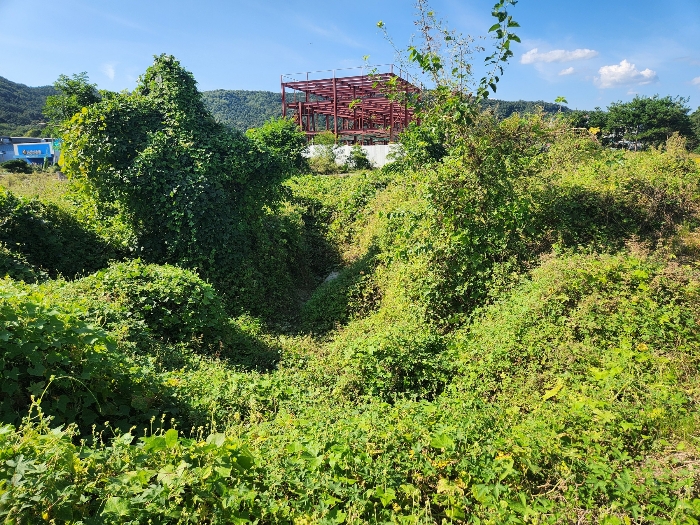 본건