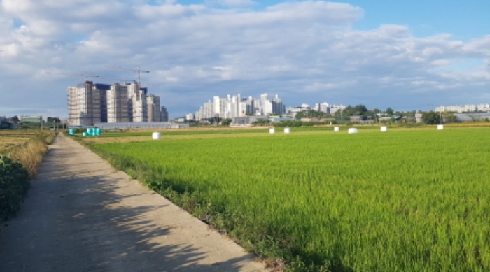 * 본건 답 전경