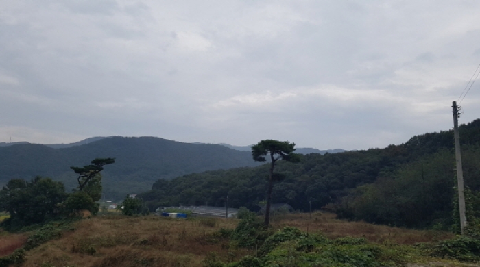 * 목록14. 내지 목록17. 전체 전경