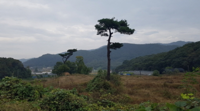 * 목록14. 전경