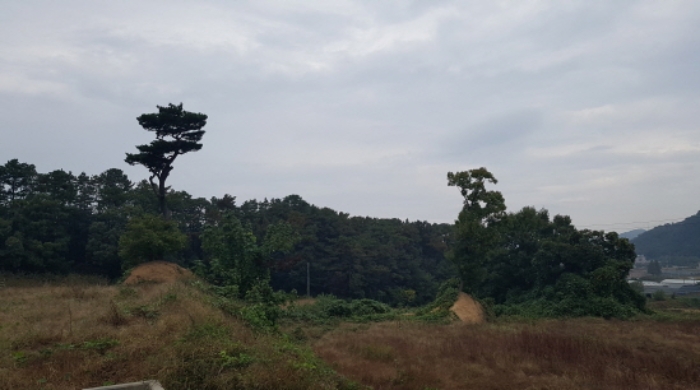 * 목록14. 전경