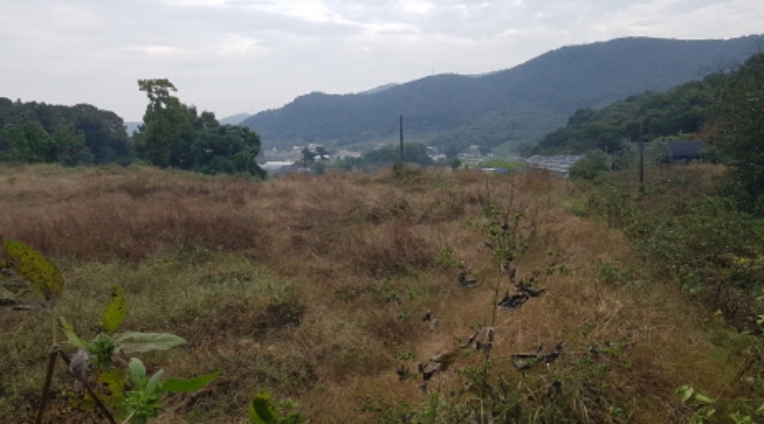 * 목록16. 전경