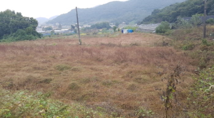 * 목록17. 전경