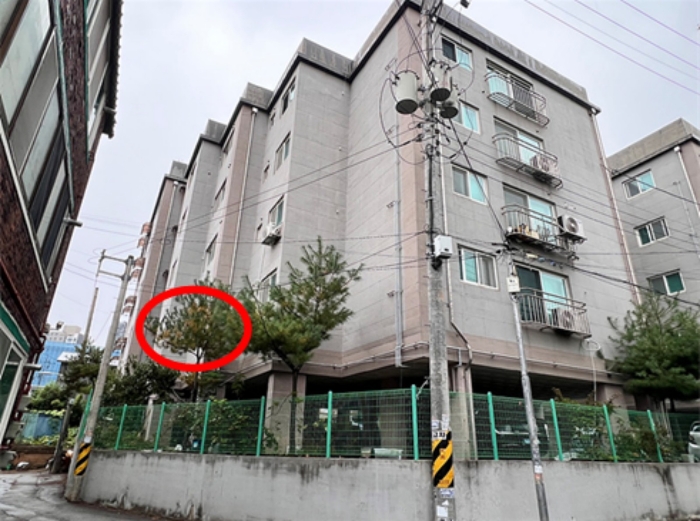 <본건 남동측 인근에서 촬영>