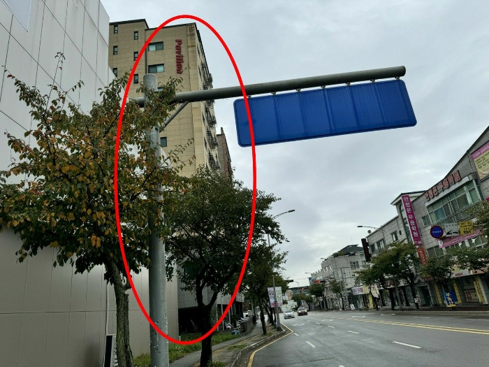 북서측에서 촬영