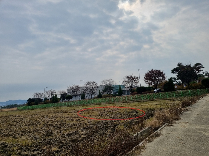 < 본건(진위면 견산리 313-1) 북서측 촬영 >