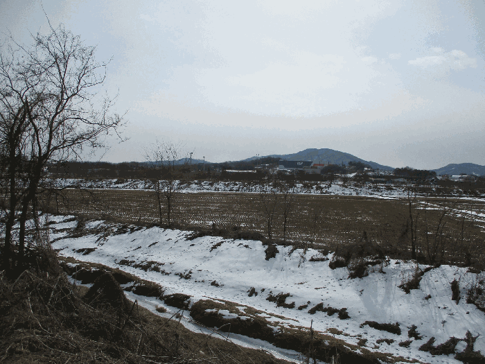 북서측 전경