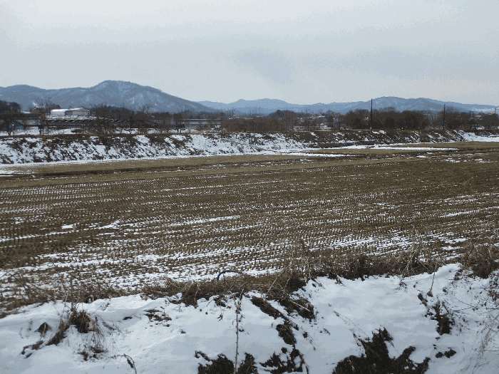 북동측 전경