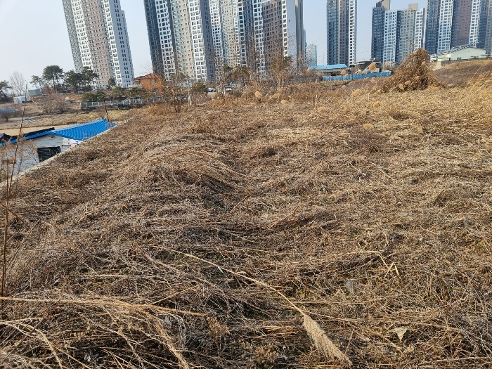 < 본건(기호1)상황 >