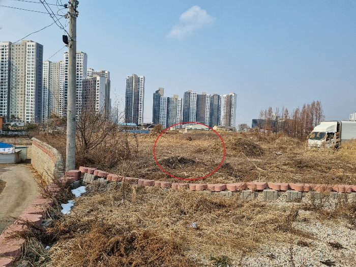 < 본건(기호1) >