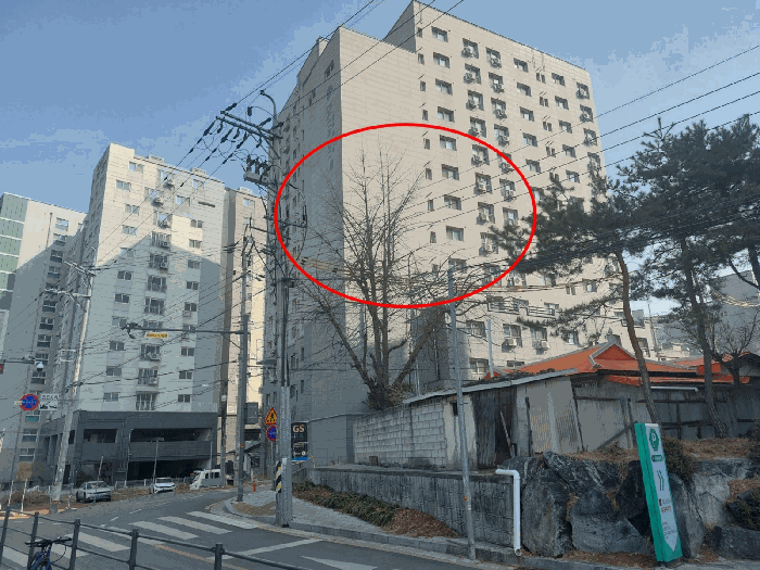 본건 - 남서측 전경