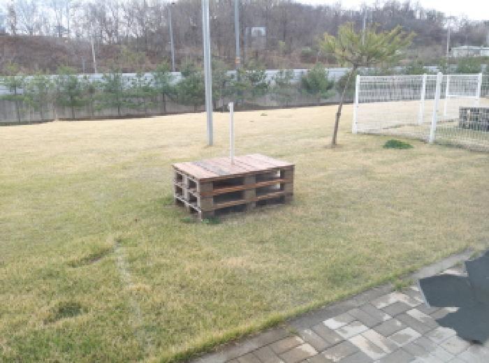 * 본건 목적물 1. 전경(잔디밭)