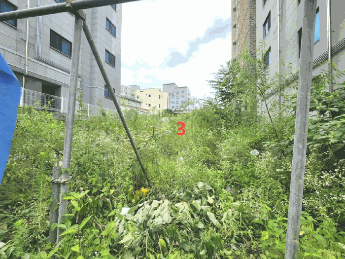 기호3 전경(북동측에서 촬영)