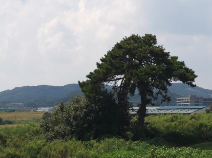 * 본건 목적물 전경
