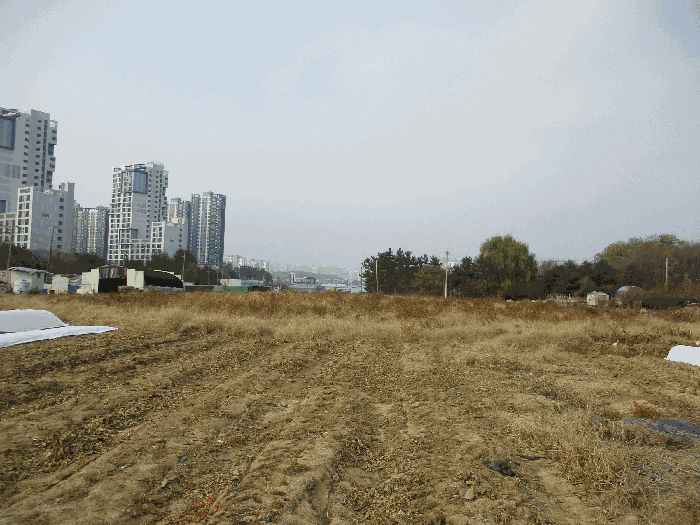 동측 전경