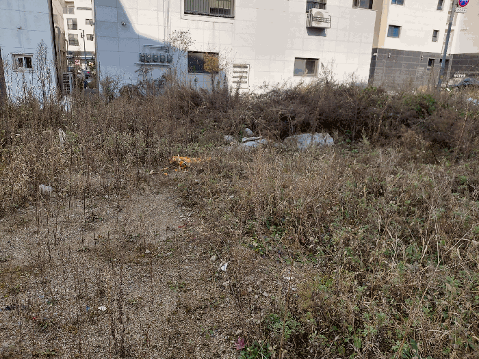 대상물건 성토 상태