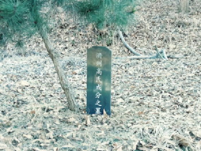 *본건 지상에 있는(수목장) 비석 전경