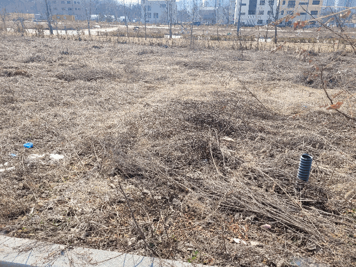 본건전경