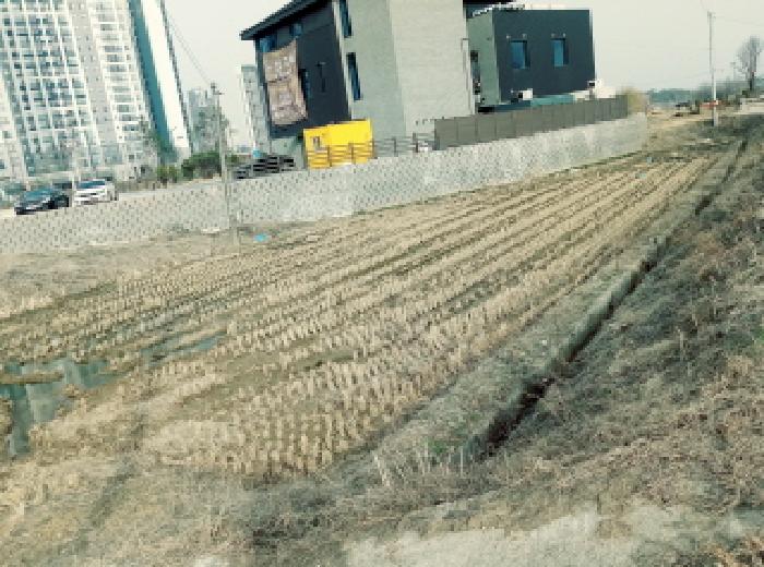 * 토지 경계 전경