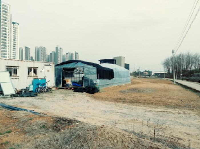 * 토지 지상 전경