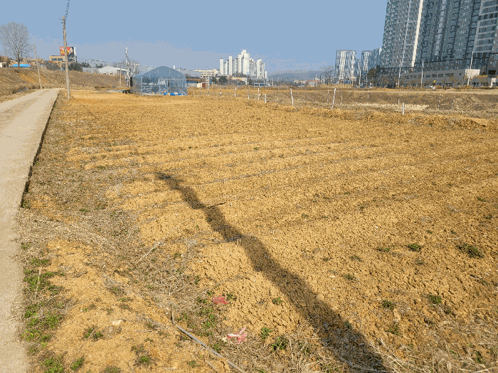 본건 북측 부분
