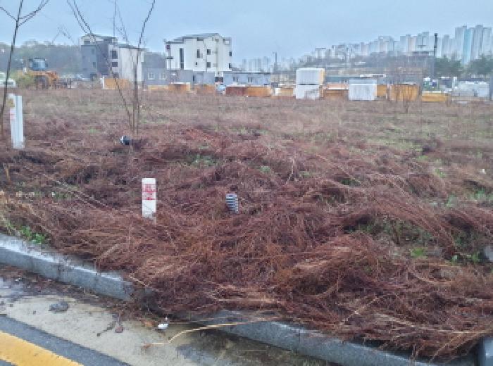 * 본건 목적물 전경