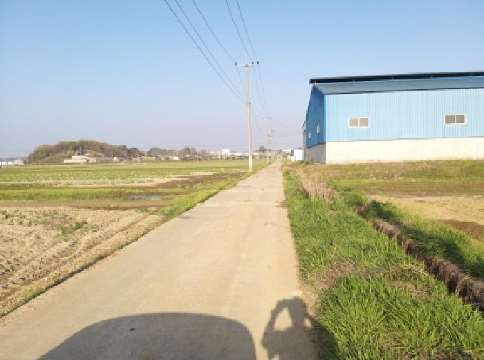 * 본건 목적물 인접도로 전경