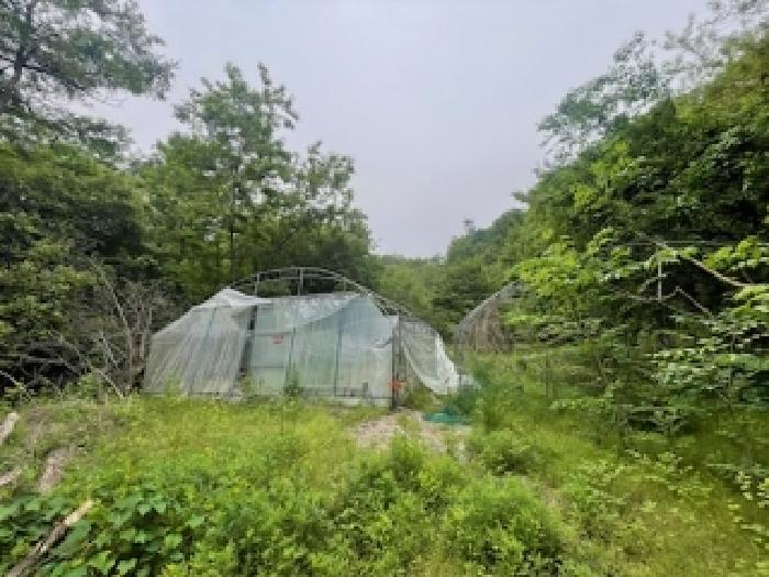* 토지 지상 전경
