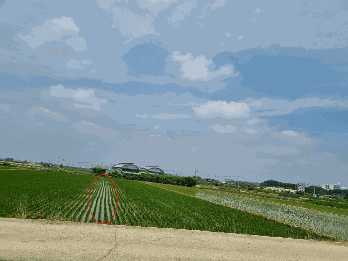 < 본건 전경 >