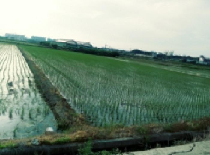 * 지상 전경