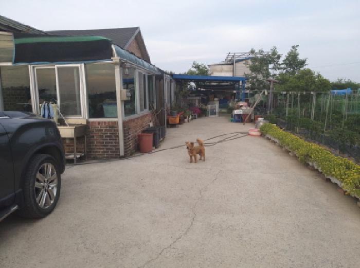 * 본건 목적물 1. 마당 전경