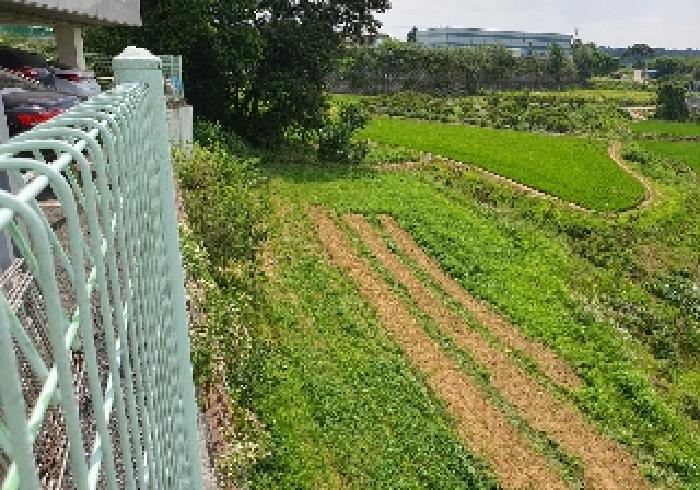 본건 부동산 전경