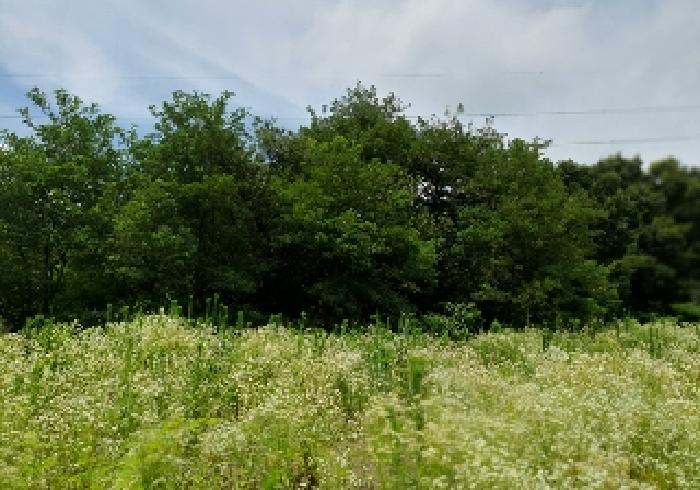 표시 부동산 근접 사진