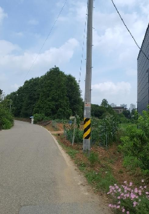 표시 목록 1번 부동산 도로쪽 사진