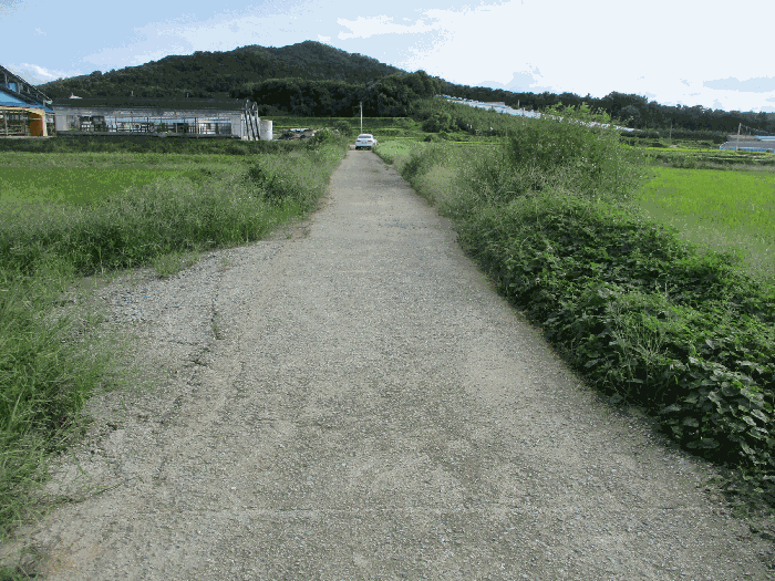 인접 도로