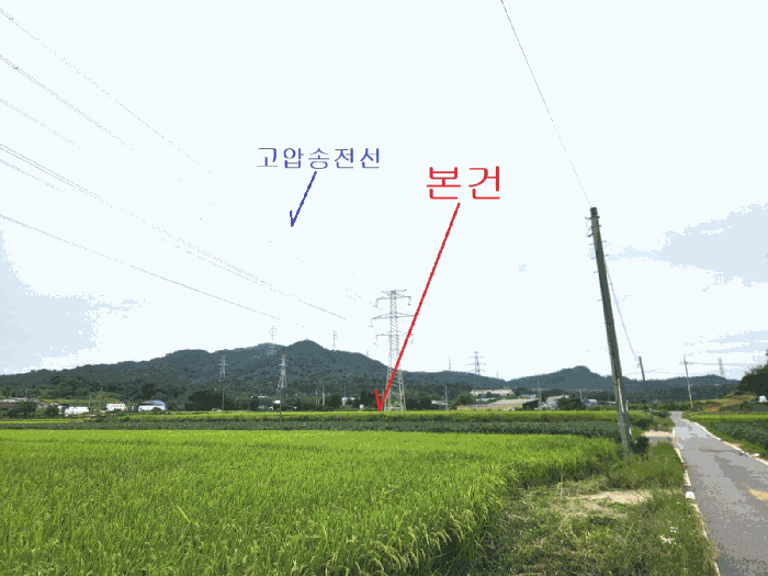 남동측에서 촬영