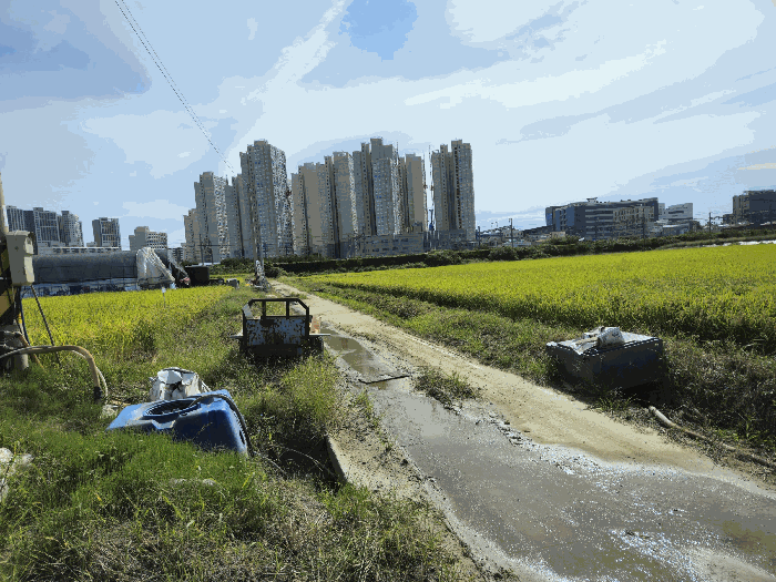 2025타경42543