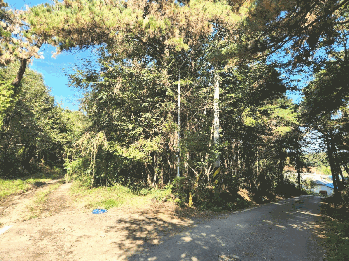 본건 북측 방향 전경