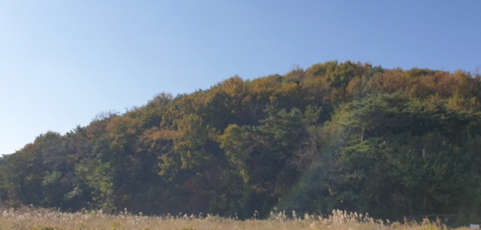 목록 1.2. 원경
