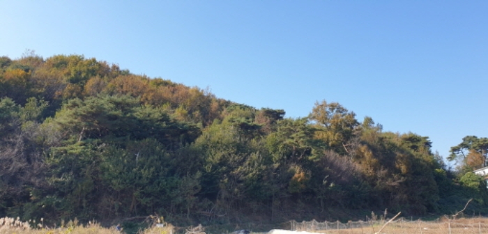 목록 1. 전경