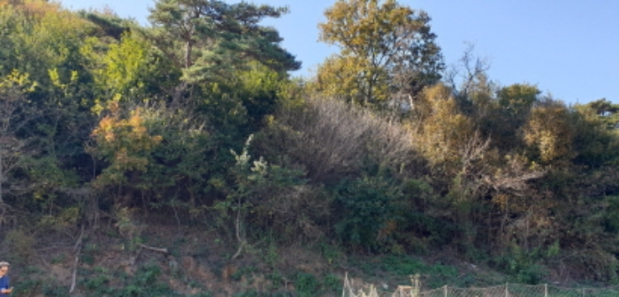 목록 1. 전경